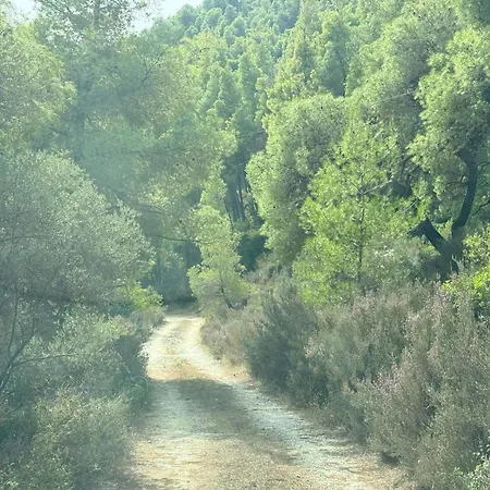 Appartamento Philippos 2 *