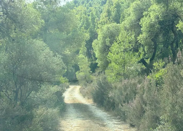 公寓 Philippos 2 *